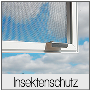 Fenster in Wiener Neustadt